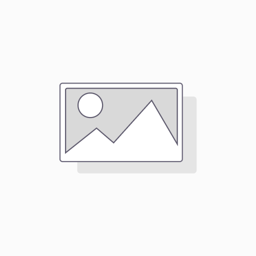 [X003FDZC71] Anker ROAV T2 Bluetooth