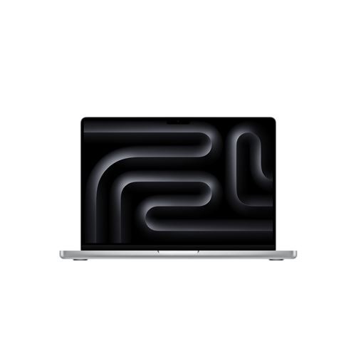 Apple MacBook Pro 14" Apple M4 CPU 10 Core GPU 10 Core 24 GB RAM 1 TB SSD Silver